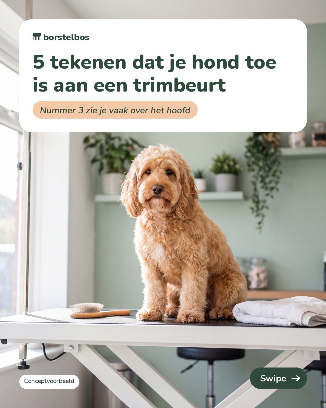 Borstelbos dog grooming carousel cover