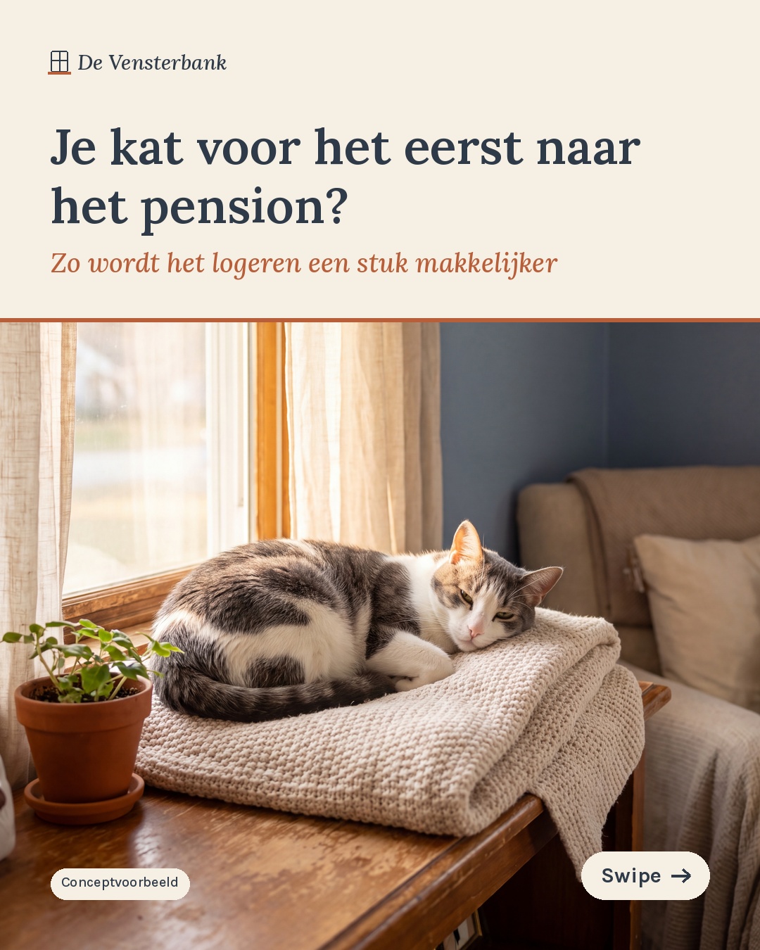De Vensterbank cat boarding carousel cover